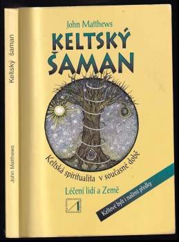 Keltský šaman