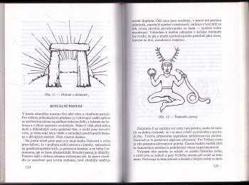 John Matthews: Keltský šaman