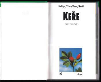 Markus Bollinger: Keře