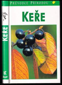 Markus Bollinger: Keře