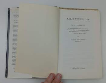 Gottfried Amann: Kerfe des Waldes