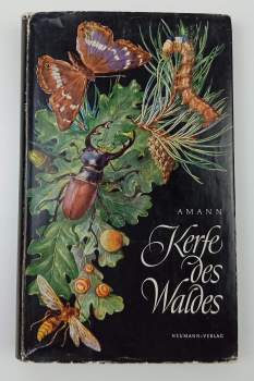 Kerfe des Waldes