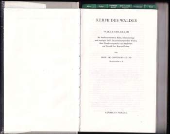 Gottfried Amann: Kerfe des Waldes