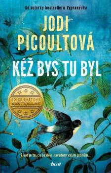 Jodi Picoult: Kéž bys tu byl