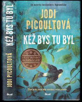 Jodi Picoult: Kéž bys tu byl