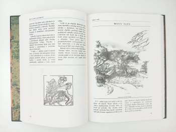 Josef Vágner: Kimuri