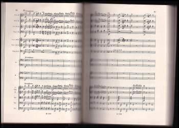 Antonín Dvořák: Klavírní koncert