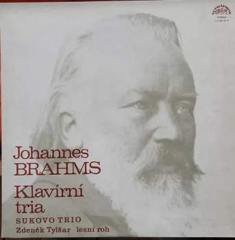 Johannes Brahms: Klavírní Tria (2xLP)