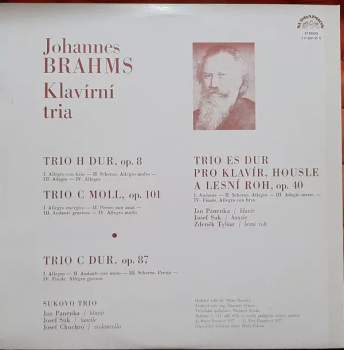 Johannes Brahms: Klavírní Tria (2xLP)