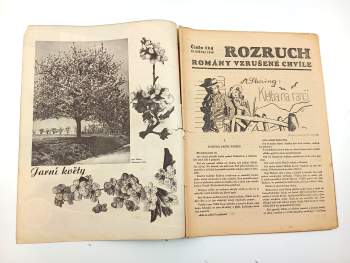 A. Sterring: Kletba na ranči - Rozruch 124, ročník III., č. 19.