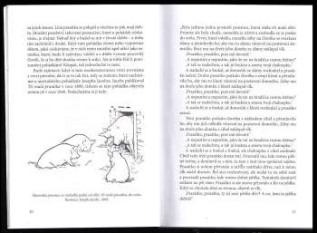 Rudolf Steiner: Klíč k pohádkám