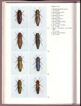 Svatopluk Bílý: Klíč k určování československých krasců, (Buprestidae, Coleoptera)