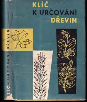 Klíč k určování dřevin