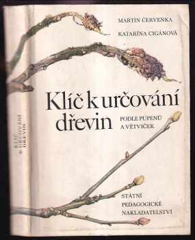 Martin Červenka: Klíč k určování dřevin podle pupenů a větviček