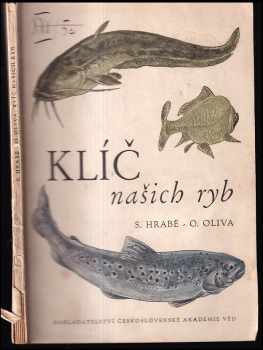 Sergej Hrabě: Klíč našich ryb