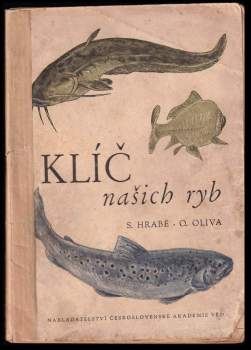 Klíč našich ryb