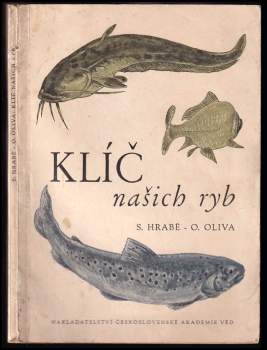 Klíč našich ryb