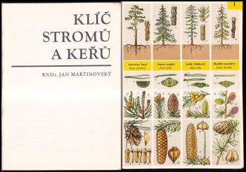 Jan Martinovský: Klíč stromů a keřů