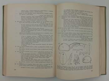 Sergej Hrabě: Klíč zvířeny ČSR