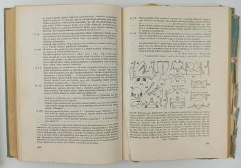 Sergej Hrabě: Klíč zvířeny ČSR