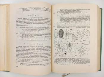 Vladimír Balthasar: Klíč zvířeny ČSR