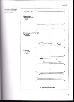 T. A Brown: Klonování genů a analýza DNA