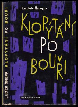 Luděk Šnepp: Klopýtání po bouři