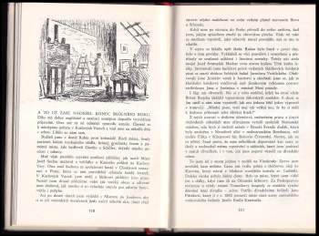 Rudolf Deyl: Kluk z Františku