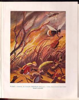 Josef Hais Týnecký: Kmotr ježek