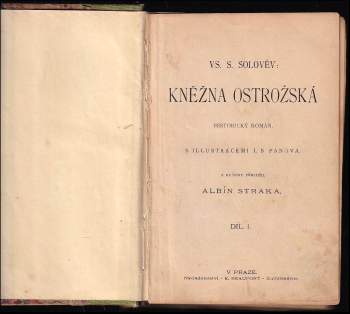 Vsevolod Sergejevič Solov'jev: Kněžna Ostrožská