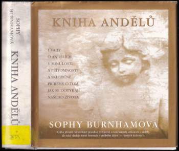 Kniha andělů