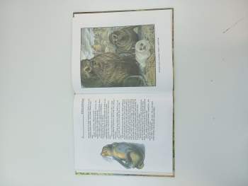Rudyard Kipling: Kniha džungle