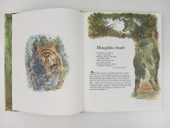 Rudyard Kipling: Kniha džungle