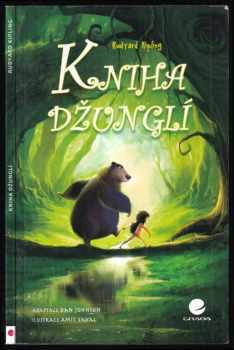 Dan Johnson: Kniha džunglí