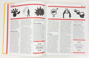 Will Buckingham: Kniha filozofie