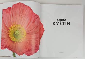 Rachel Siegfried: Kniha květin