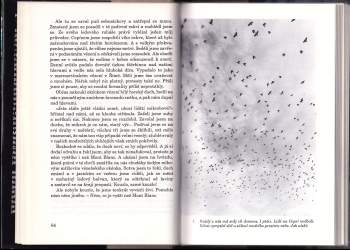 Axel Munthe: Kniha o lidech a zvířatech