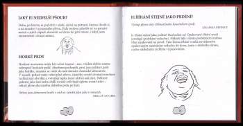 Alec Bromcie: Kniha o prdění