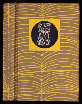 Kniha obrazů