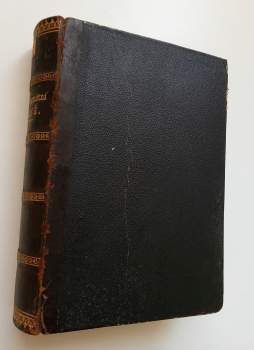 Kniha pamětní král. krajského města Plzně od roku 775 až 1870