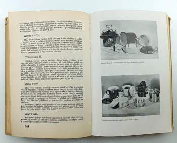 Marie Janků-Sandtnerová: Kniha rozpočtů a kuchařských předpisů