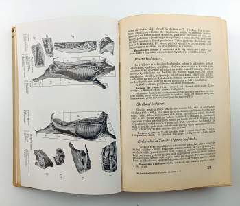 Marie Janků-Sandtnerová: Kniha rozpočtů a kuchařských předpisů