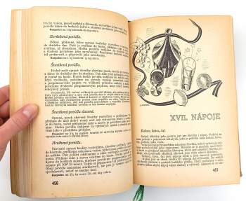 Marie Janků-Sandtnerová: Kniha rozpočtů a kuchařských předpisů