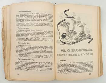 Marie Janků-Sandtnerová: Kniha rozpočtů a kuchařských předpisů všem hospodyním k bezpečné přípravě dobrých, chutných a levných pokrmů