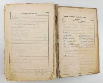 Marie Janků-Sandtnerová: Kniha rozpočtů a kuchařských předpisů všem hospodyním k bezpečné přípravě dobrých, chutných a levných pokrmů