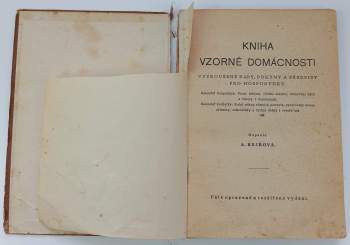 Anuše Kejřová: Kniha vzorné domácnosti
