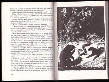 Rudyard Kipling: Knihy džunglí