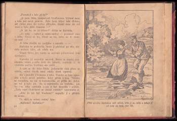 Jan Milota: Knížka o vodníkovi, aneb, Kterak se vodník usadil v tůni u Čejkova mlýna, co prováděl, jak se bavil, co se o něm vypravovalo, jak byl chycen a jak se naposledy pomstil