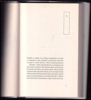 Takashi Hiraide: Kočičí host