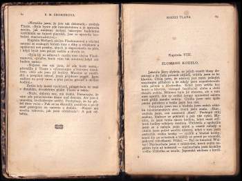 Bithia Mary Croker: Kočičí tlapa